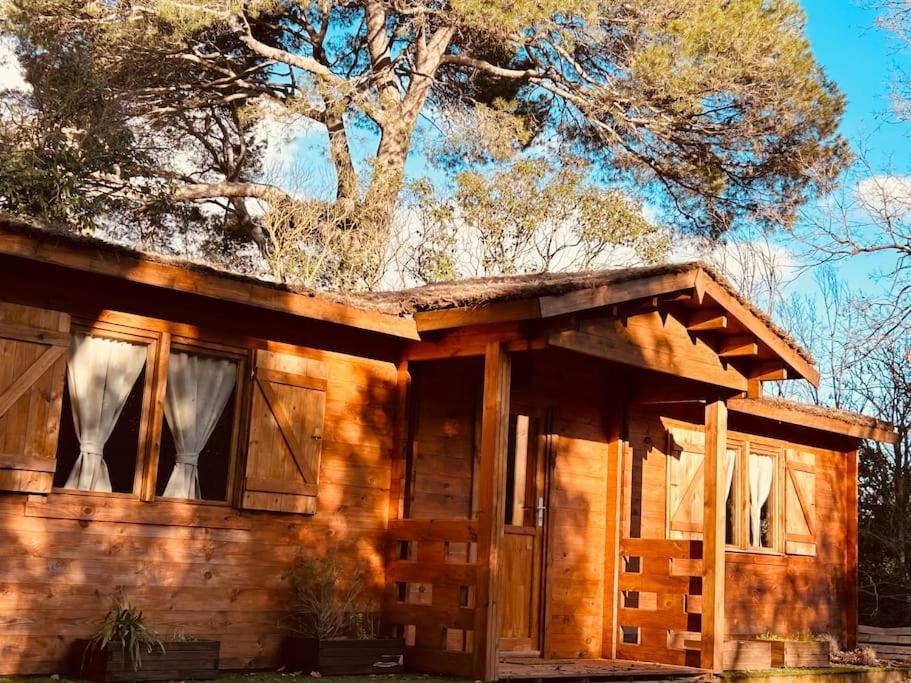 Chalet Bois Jacuzzi Bessan Extérieur photo